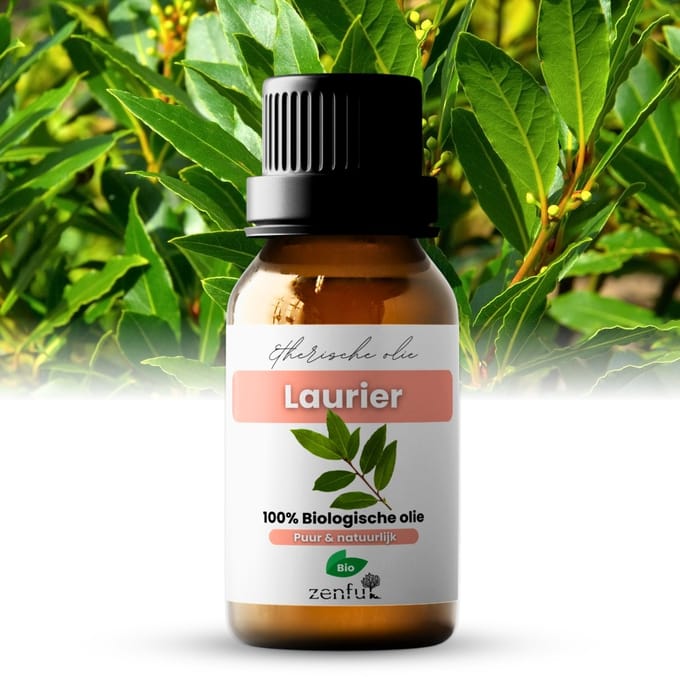 Laurier olie - 100% Puur & Bio - Etherische olie - Laurierblad - Laurierolie - 10 ml