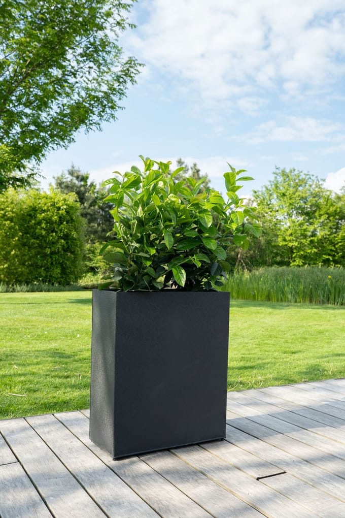 Divider Sten matzwart | 44 x 59 cm