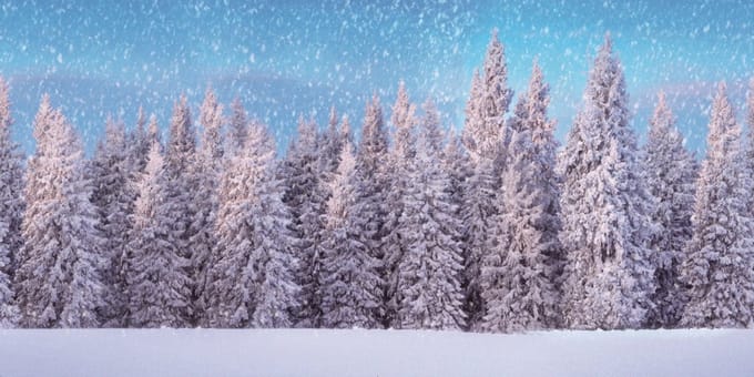 My Village Achtergrond doek sneeuwbos 300x150 cm