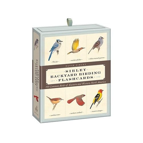 Sibley Backyard Birding Flashcards - David Sibley