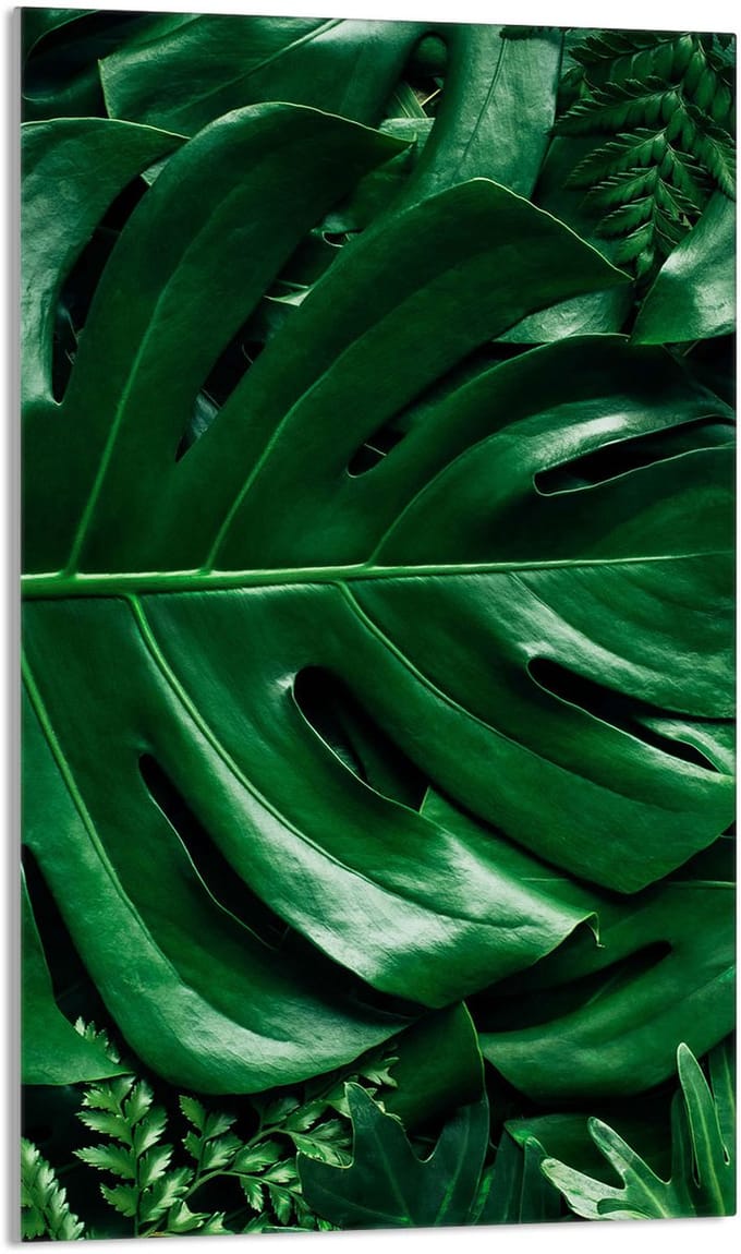TMK ArtDeko - Snijplank - 30x52 cm - Monstera - Glas - Universeel