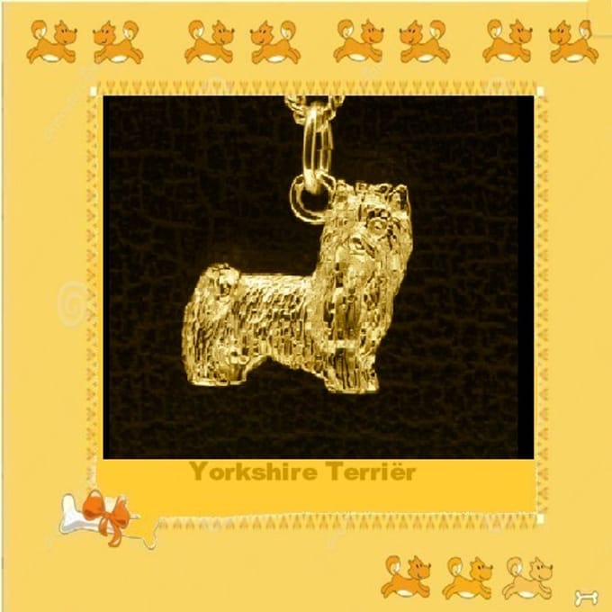Hetty'S - Goldplated zilveren - Yorkshire terriër hanger met collier (45-50 cm) – Maat 16-18 mm
