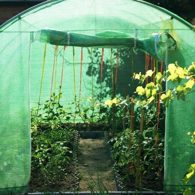 Springos Kweekkas - Tuinkas - Broeikas - Plantenkas -Folie - 450x200x200 CM
