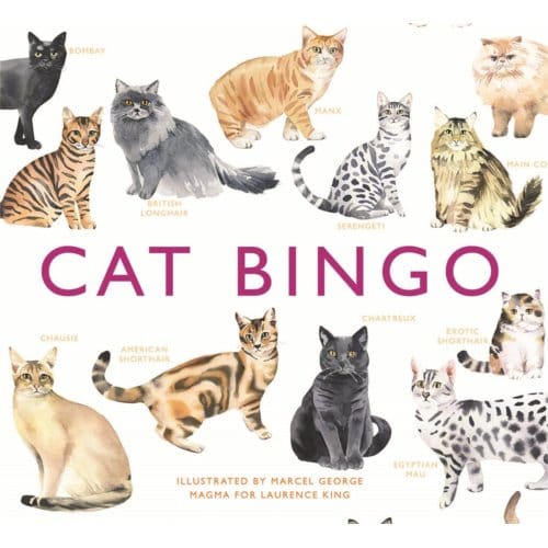 Cat Bingo - George, Marcel