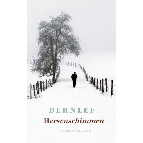Hersenschimmen - Bernlef