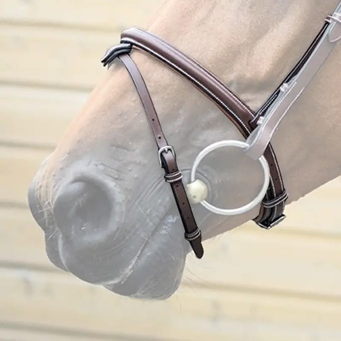 Combinatie paardenneusriem Jump'In One London