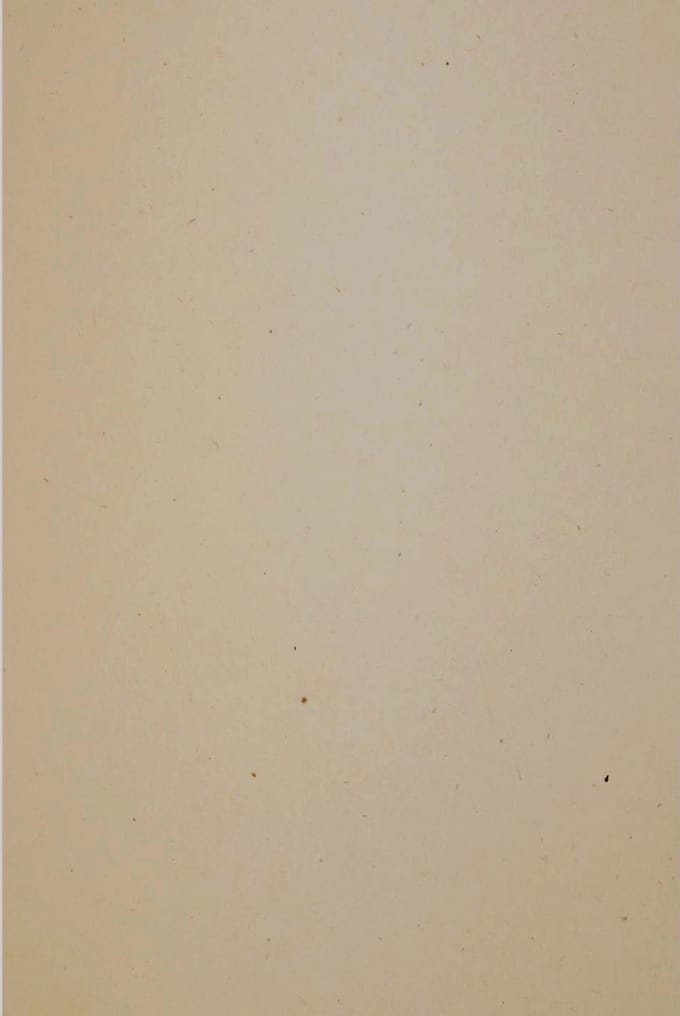 Netuno - bruin ecologisch papier - A5 - 14,8 x 21 cm - 10 vellen - 130 gram - Flora Tabacco