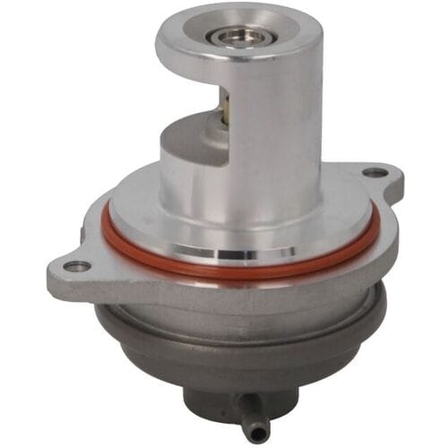 EGR-klep BORG WARNER WA729007D