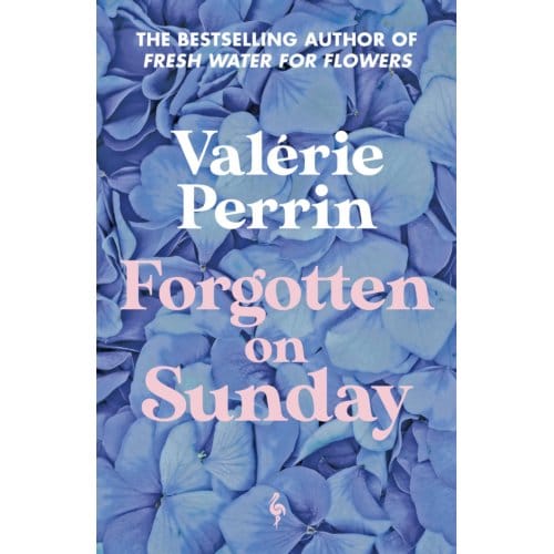 Forgotten On Sunday - Valerie Perrin