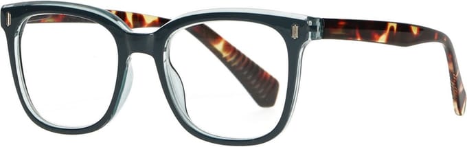 Spectrum Leesbril Blauw/Havanna 1.00