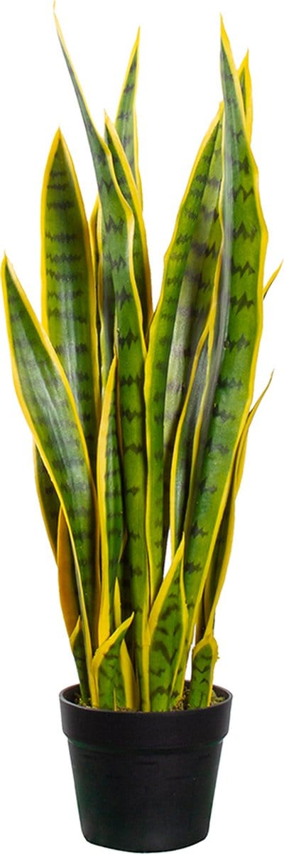Kunstplant Sansevieria H70cm - HTT Decorations kunstplanten
