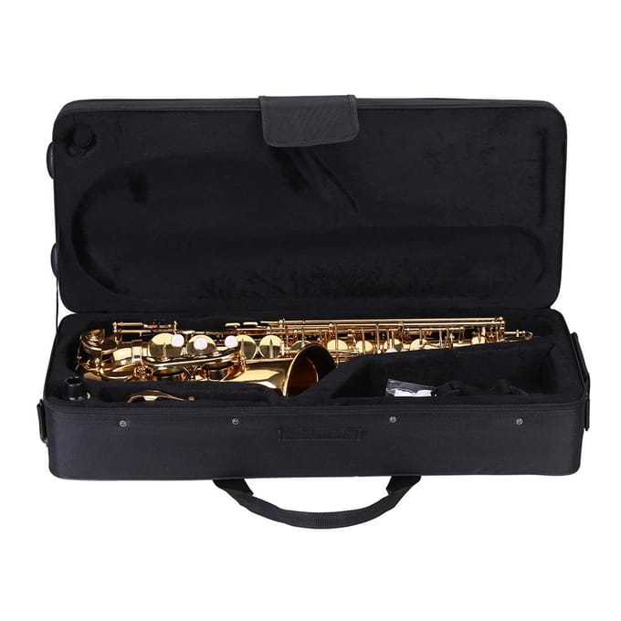 ammoon Eb Altsaxofoon Messing Gelakt Goud E Flat Sax 802 Sleuteltype Houtblazersinstrument met brown