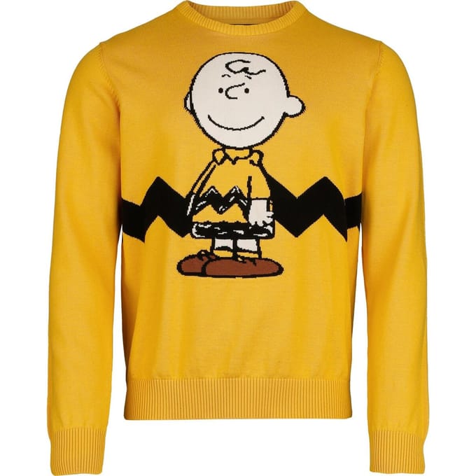 Peanuts Gebreide trui - Charlie Brown - L - voor Mannen - meerkleurig