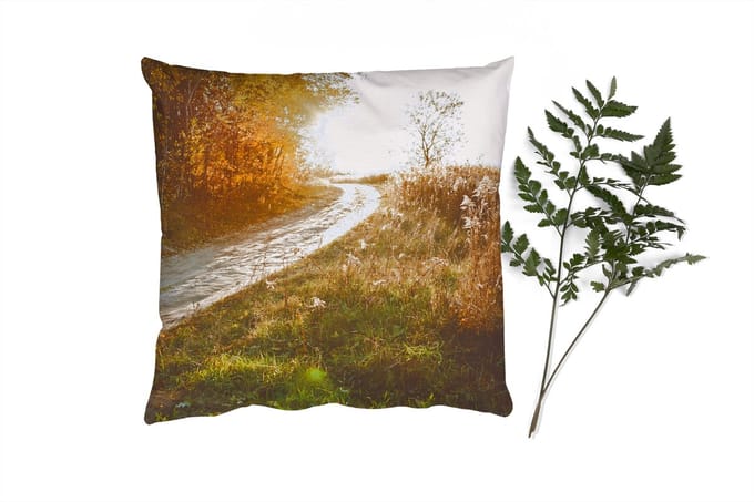 Sierkussens - Kussentjes Woonkamer - 60x60 cm - Pad - Natuur - Boom