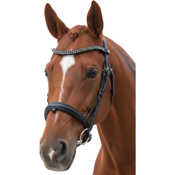 Gecombineerd hoofdstel met neusriem Canter Totalis