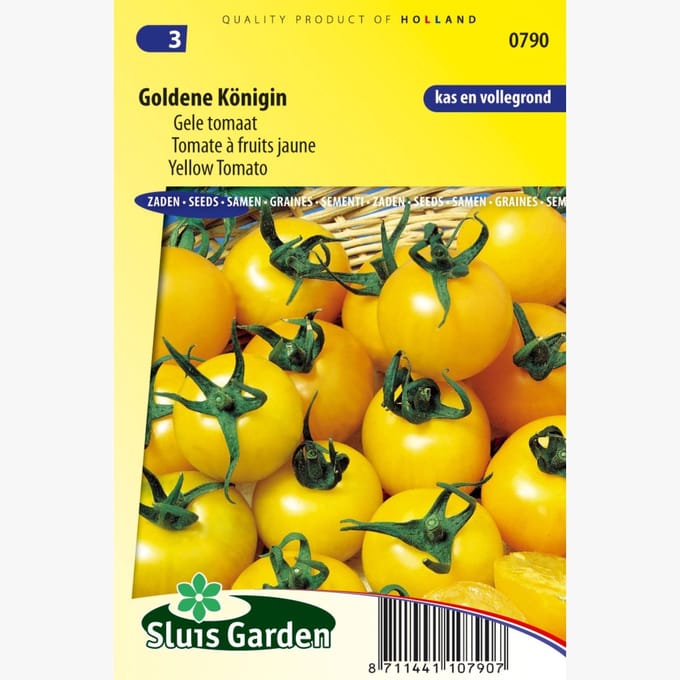 Tomaat Goldene Konigin
