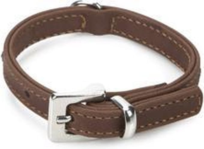 Beeztees leren halsband Buffalo Strass. Bruin. 24 cm x 10 mm.