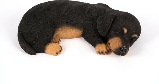 slapend  Puppie