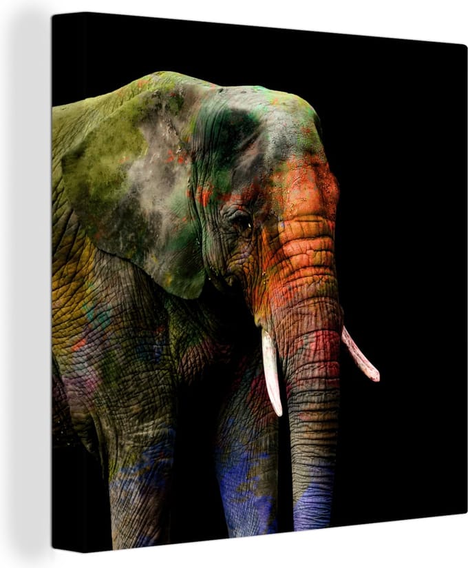 Canvas Schilderij Olifant - Kleuren - Dier - 90x90 cm - Wanddecoratie