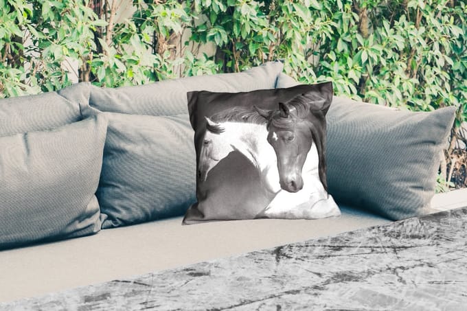 Buitenkussen - Paarden - Dieren - Zwart - Wit - Portret - 45x45 cm - Weerbestendig