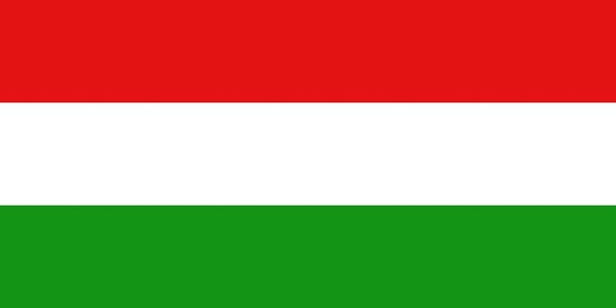 Vlag Maaseik 100x150cm