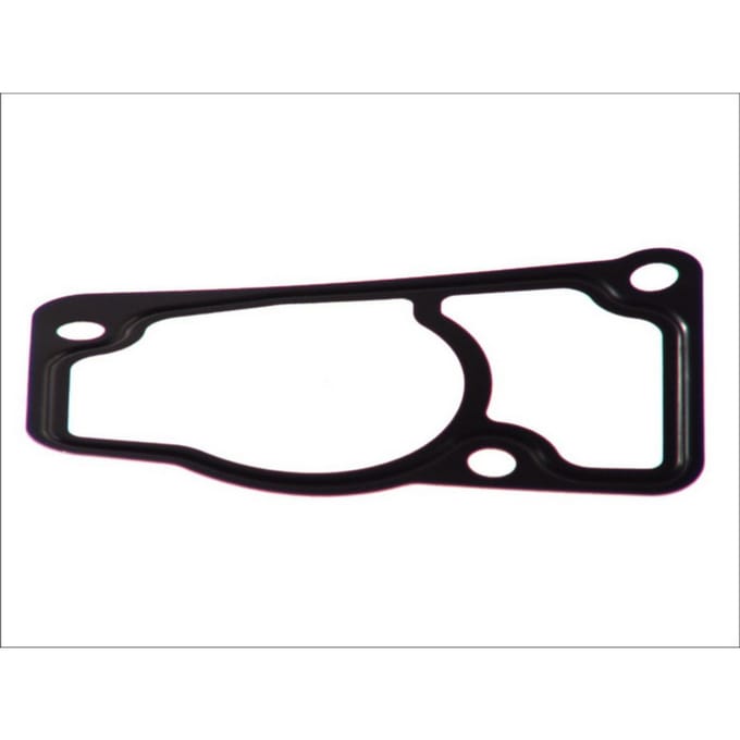 Thermostaatombouw, pakking ELRING 646.212