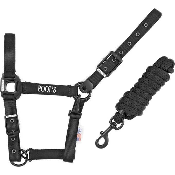 Nylon halster voor paard met leer Pool's