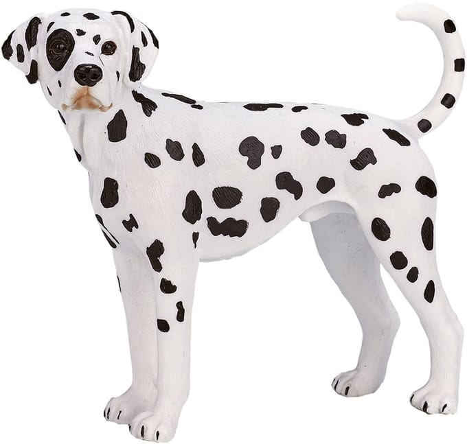 Mojo Farmland Dalmatiër - 387248