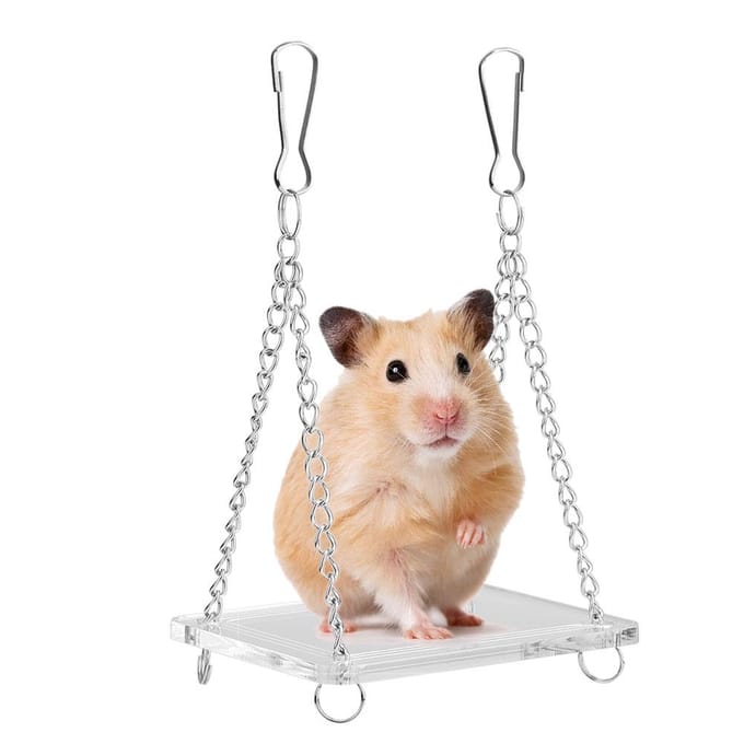 Hamster Hangbrug Hamster Schommel Hangend Stand Speeltuin white