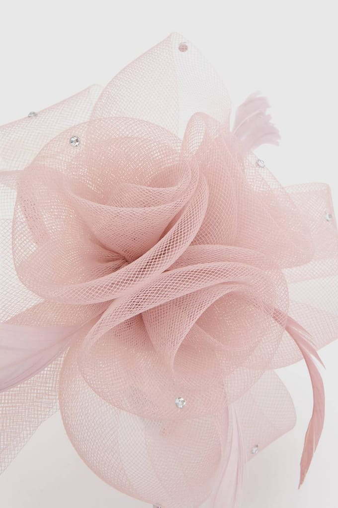 boohoo Dames Bloosroze Bloem Haarband Fascinator | Blush