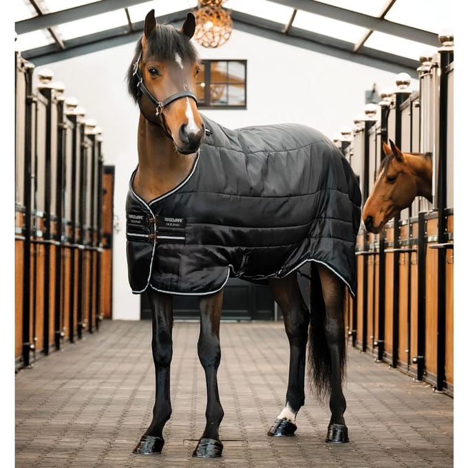 Staldeken voor pony Horseware Easy-Layer 100g