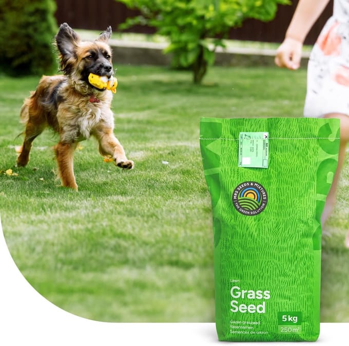 Graszaad speel- en sportgazon - 15 kg - 750 m² - snelle groei