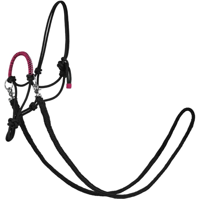 Halster voor paarden York Zirco