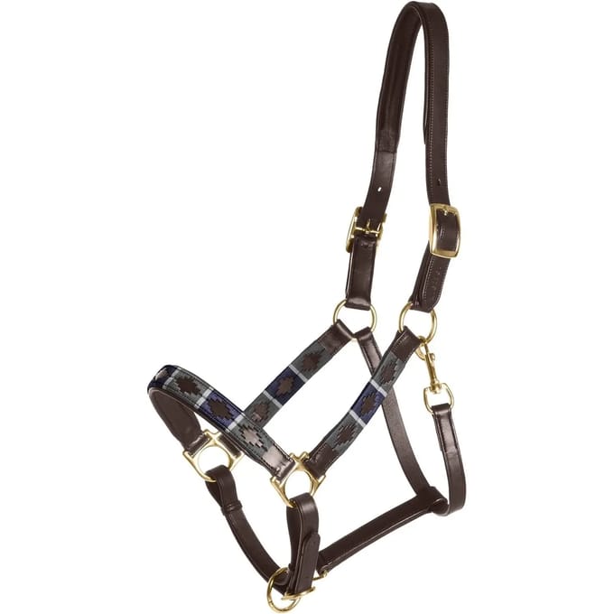 Paard hoofdstel met chroomgespen Kieffer Buenos Aires with chrome buckles