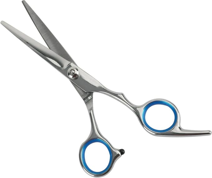 New Age Devi - Kwaliteitsvolle RVS schaar voor professionele kappers - perfect voor het knippen van haren