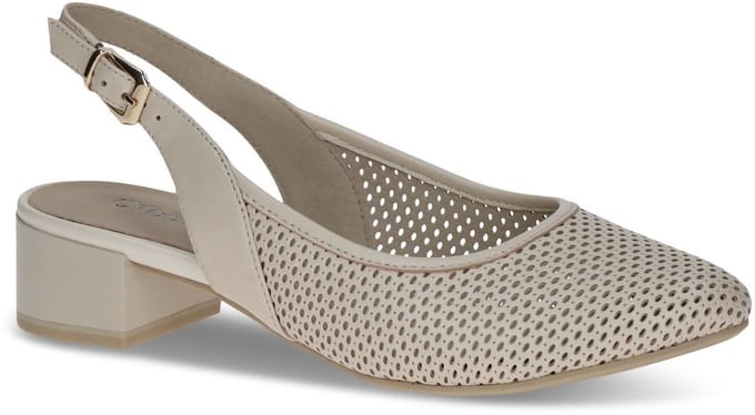 Ballerina's Caprice -