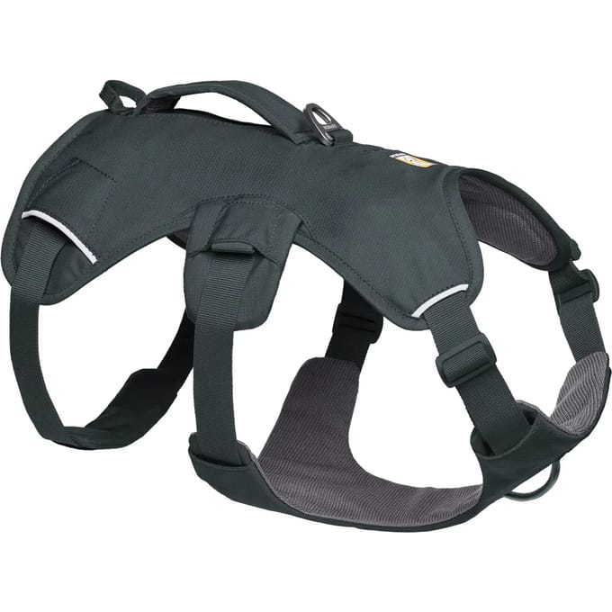 Hondentuig Ruffwear Web Master™