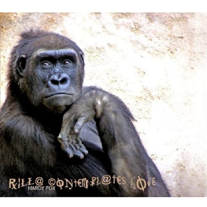 Hardy Fox - Rilla Contemplates Love (CD)