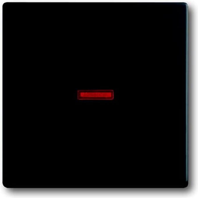 ABB Busch-Jaeger Schakelelement/Centrale Plaat - 2CKA001751A3047 - E2BQJ