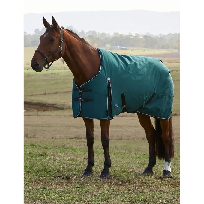Outdoor paardendeken Weatherbeeta Comfitec Classic 220g