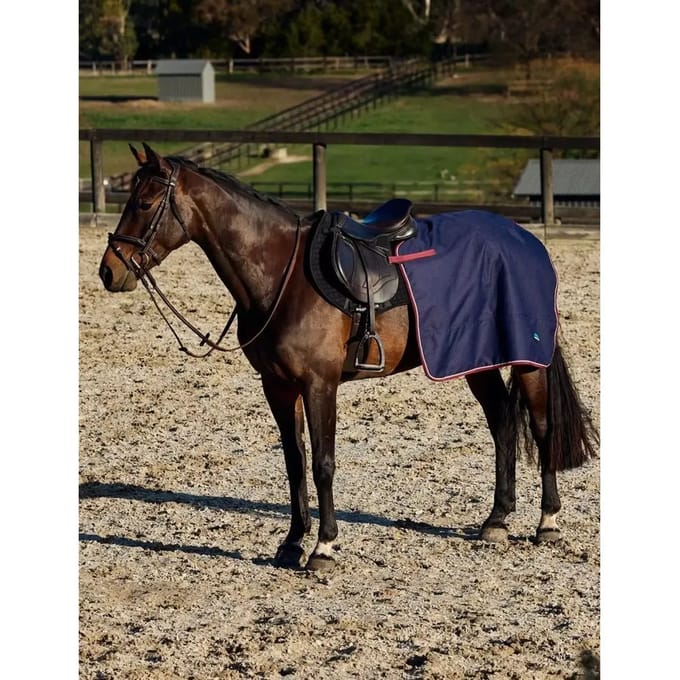 Paardendekens Weatherbeeta Essential