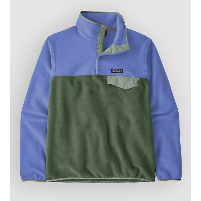 Patagonia LW Synch Snap-T Half-Zip Fleece Trui groen