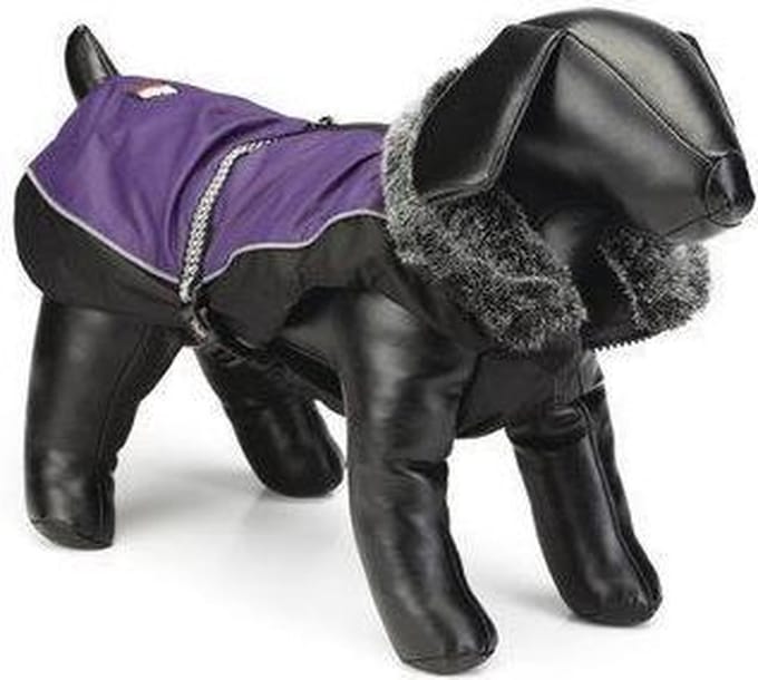 Beeztees Nano hondenjasje aspen - Paars 55 cm