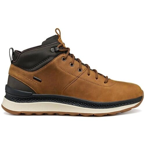 Hoge Sneakers Geox Schoenen-Mannen