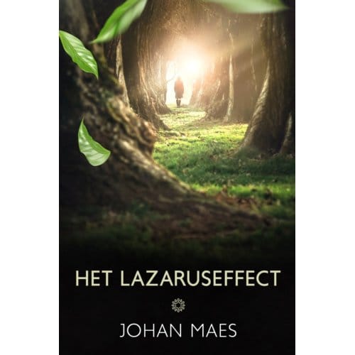 Het Lazaruseffect - Johan Maes