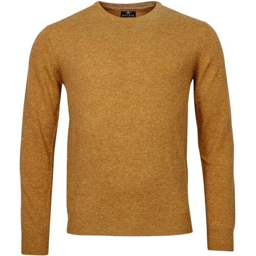 Baileys Trui Crew Neck Lambswool Oker / male