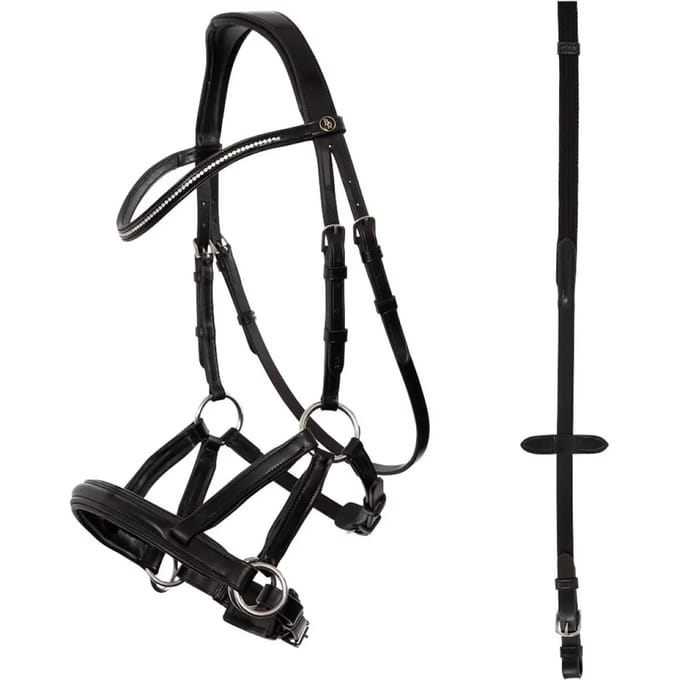 Anatomische hoofdstellen BR Equitation Lewes
