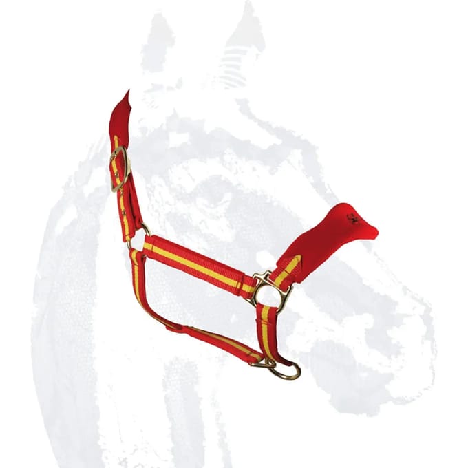 Halster voor paarden Zaldi Deluxe