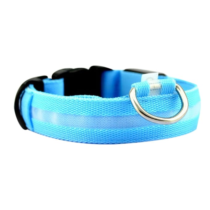 LED Hondenhalsband Mode Veiligheid USB Oplaadbaar Waterdicht Lichtgevende Hondenhalsband voor Kleine Middelgrote blue