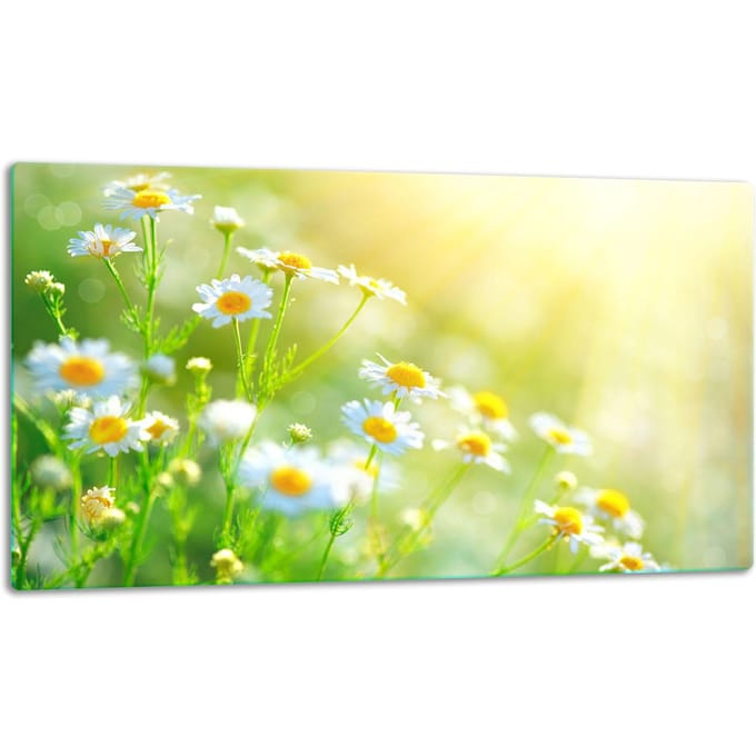 TMK ArtDeko D30x52 - Glazen Snijplank - 52x30cm - Bloemen